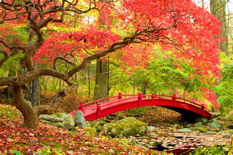 japan nature wallpaper|japanese nature wallpapers.